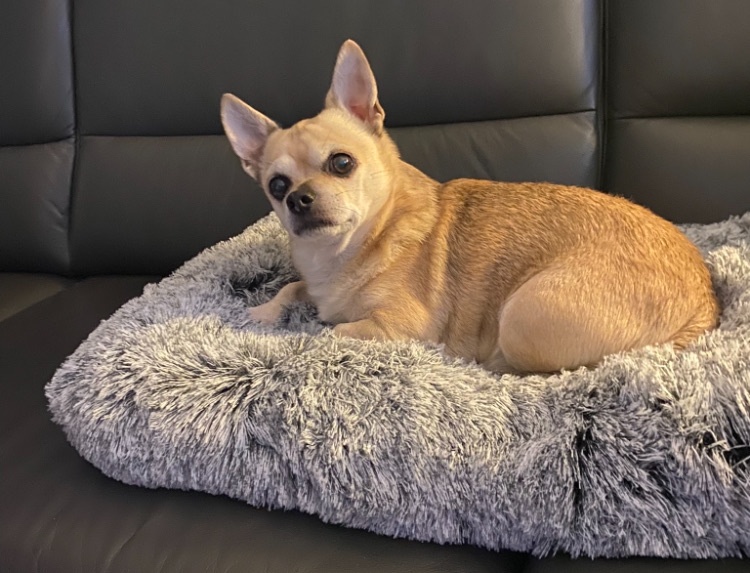 Jerry – Erinnerungsfoto