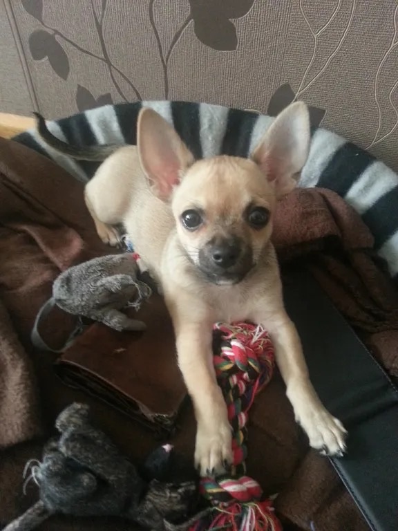 Jerry – Erinnerungsfoto