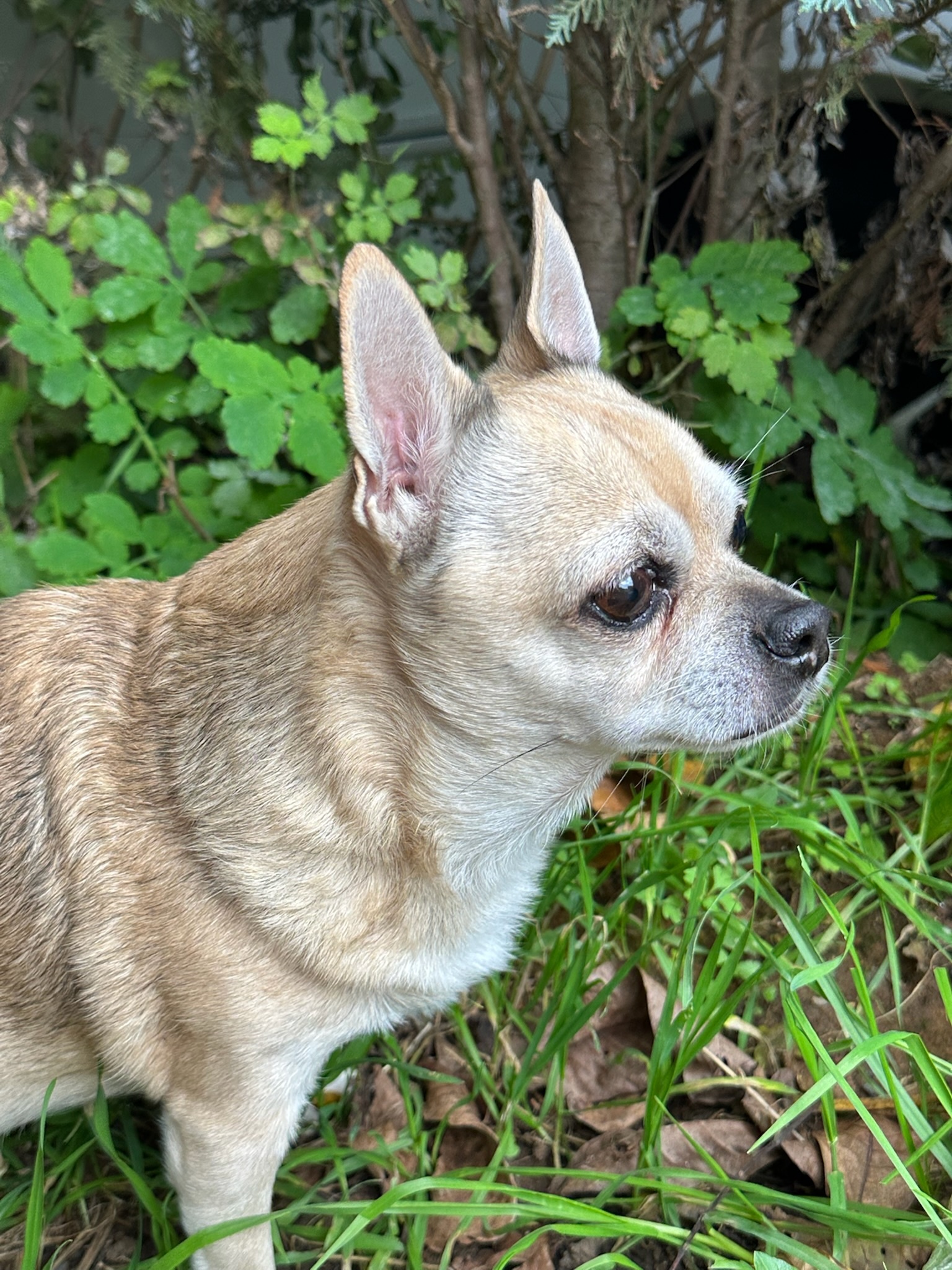 Jerry – Erinnerungsfoto