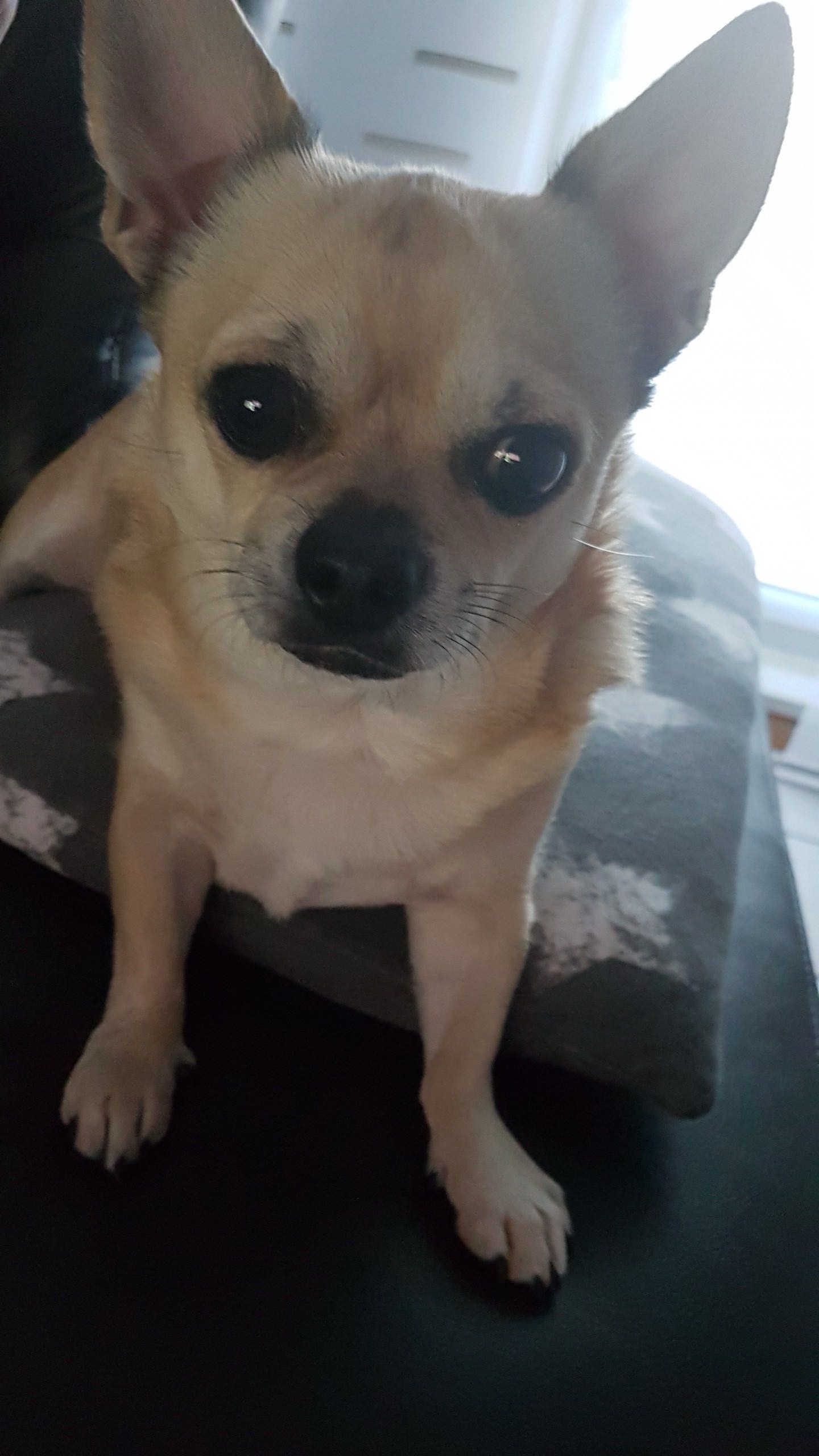 Jerry – Erinnerungsfoto