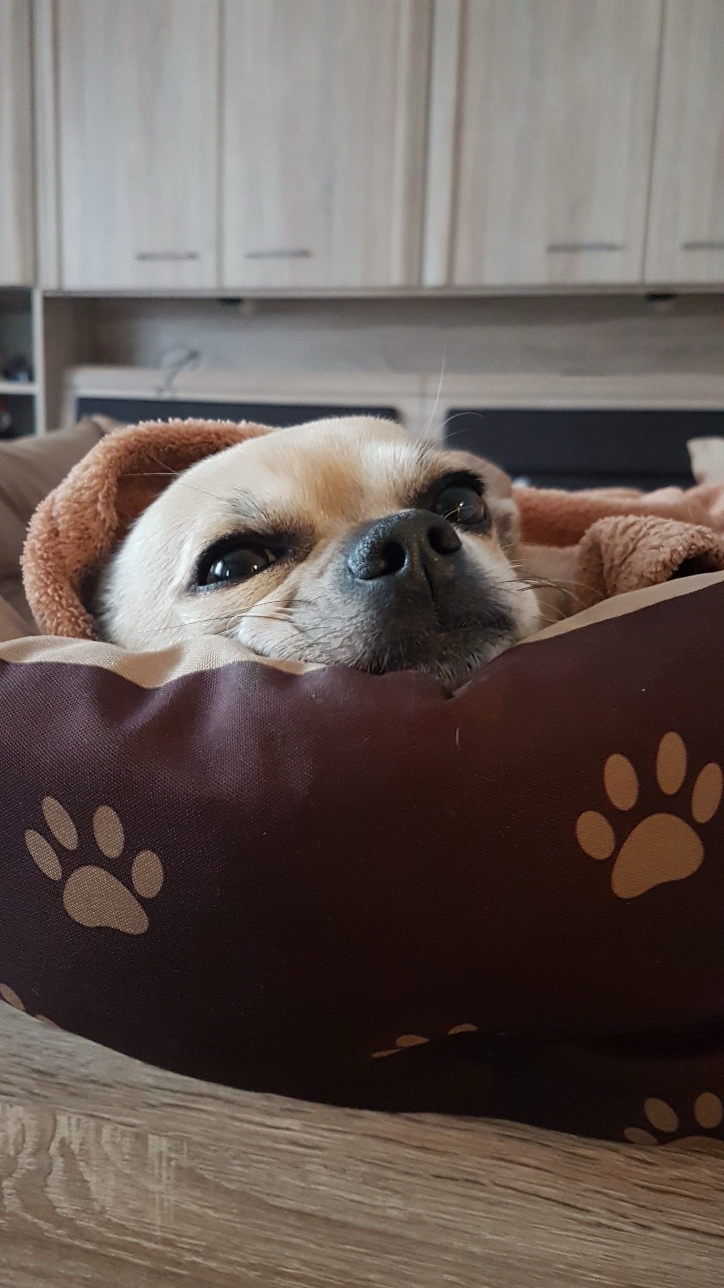 Jerry – Erinnerungsfoto
